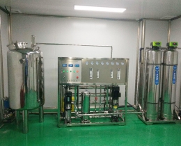 口罩车间0.5吨双级反渗透纯化水设备